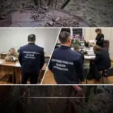 На Днепропетровщине незаконно вырубили леса на 22 миллиона
