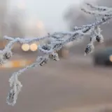На півночі України вночі буде -25 градусів – Укргідрометцентр