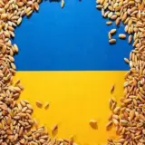 Зерно Украины – РФ украла украинского зерна на 400 миллионов