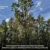 На Київщині вкрали землі на 8 мільйонів
