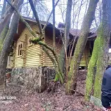 Нардеп от ОПЗЖ захватил участок леса на Закарпатье