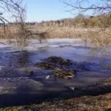 Ігор Табурець – у Черкаському районі впровадили погодинний моніторинг рівнів води