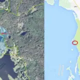 У кума Путіна забрали землю на Київщині