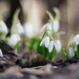 Погода в Украине 19 марта — Укргидрометцентр прогнозирует небольшие дожди