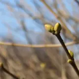 Погода в Украине 26 марта – Укргидрометцентр обещает теплый день