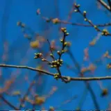 С 30 марта в Украине похолодает и зарядят дожди – Meteoprog