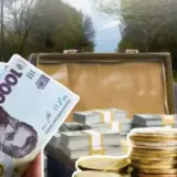 У депутата сільради знайшли 46 мільйонів