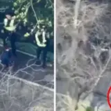 Опубликовано видео с бодикамер полицейских, сбежавших с места теракта в Киеве