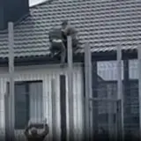 ТЦКашники скинули з даху чоловіка під Луцьком