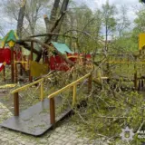На Буковине деревья упали на детскую площадку