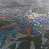 К резиденции Путина в Геленджике приближается нефтяное пятно из Туапсе