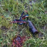 Обстріл Полтавської області – двоє рятувальників загинули