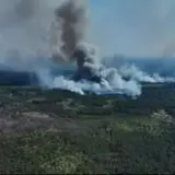 Пожежа на Чернігівщині – на кордоні з Росією через обстріл горить 2400 гектарів лісу