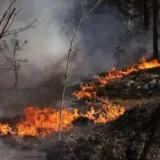 Пожар в Зоне отчуждения