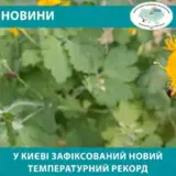 Погода у Києві – зафіксували новий температурний рекорд