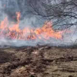 Уточнено ситуацію з радіацією на 10 травня у зв’язку з масштабною пожежею у Чорнобильській зоні