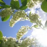 Погода в Україні 16 та 17 травня – Укргідрометцентр прогнозує грози та шквали на заході