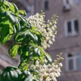 Погода в Україні 25 травня – Укргідрометцентр прогнозує дощі та грози у низці областей