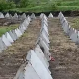 Одессу готовят к круговой обороне