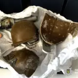 УУ Вінниці школяр приніс в клас гранату: стався вибух