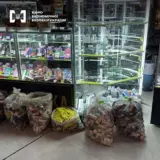 В Киеве изъяли контрафактных сигарет на 12 миллионов