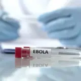 ВОЗ сообщила о почти 500 подтвержденных случаях заражения Эболой в Центральной Африке