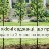 Astelia – місце, де сад стає системою