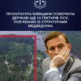 У Медведчука забрали 10 гектарів лісу