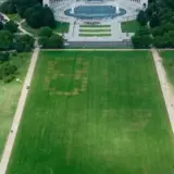 Трампу передали послание на газоне Национальной аллеи
