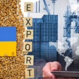 Експорт зерна впав на 12%