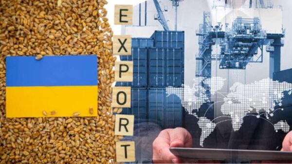 Експорт зерна впав на 12%
